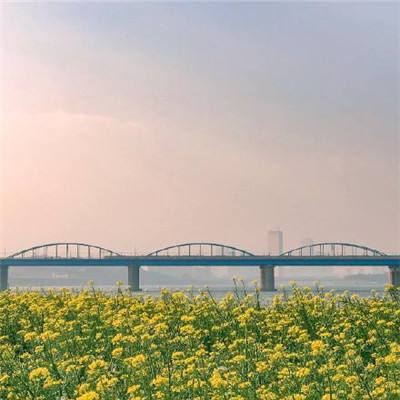 增至6车道，上海沪太路飞云桥新建桥梁通车